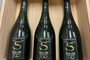 博雅收藏高價收購 2013 年沙龍 Salon 白中白頂級香檳，提供專業免費鑑定，線上提交相片快速初評，全港支持上門驗貨。博雅收藏收購 2013 年沙龍 Salon 白中白頂級香檳，同步回收紅酒、威士忌、干邑各類名酒。按市場行情客觀報價，交易保密透明，無隱藏費用，單瓶及批量藏品均可諮詢。